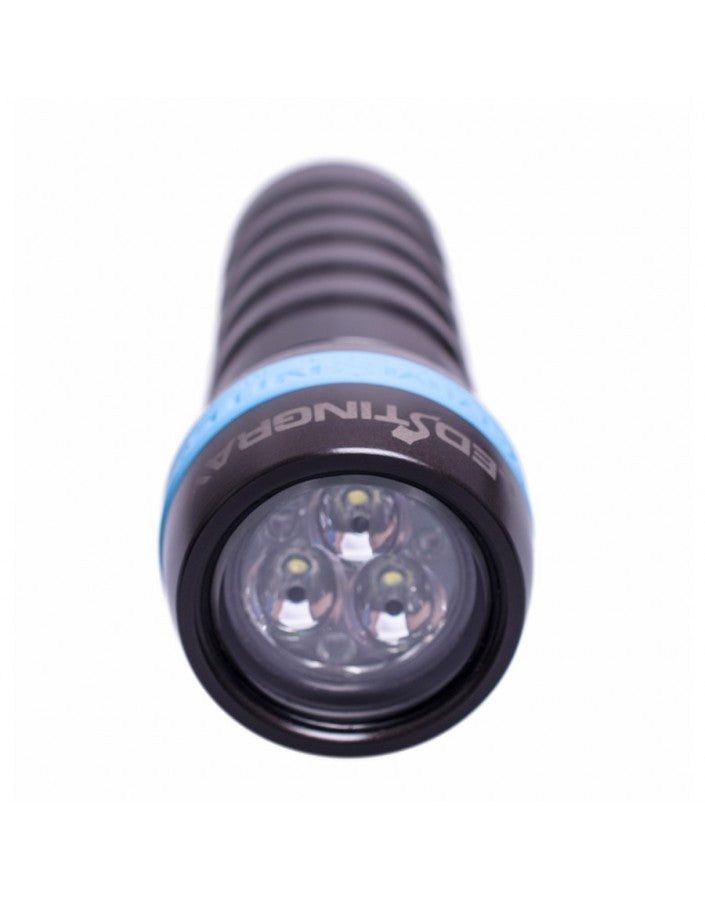 Load image into Gallery viewer, Ammonite LED Stingray Basic Set Plus