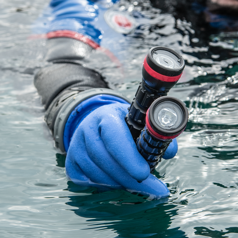 Load image into Gallery viewer, Ammonite LED 1 + LED 1 Mini