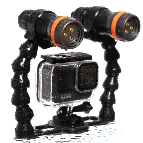 Load image into Gallery viewer, LED STINGRAY VIDEO MARK II