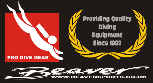 About Beaver